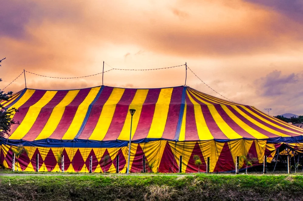 Circus Circus Performance