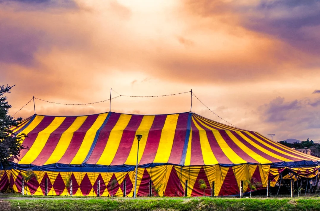 Circus Circus Performance