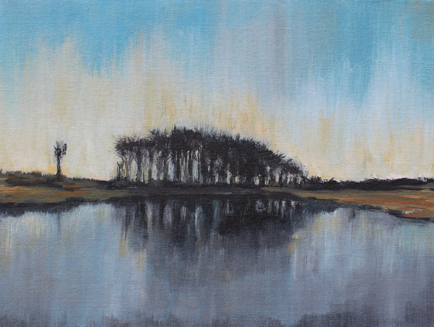 Black Sheep and the Shady Grove