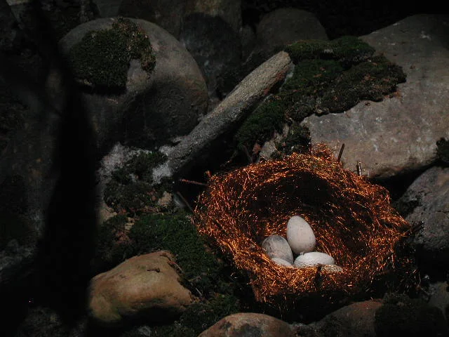  Peeking into the the first box you could see a layer of river rock with a nest made out of copper wire and some wooden eggs. 