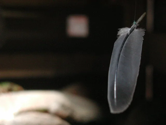  Suspended over the stones were feathers that moved slightly from the light breezes the silos. 