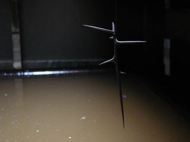  The box in the second chamber had a tray of water in it over which was suspended several sharp spikey thorns from a honey locust tree. 