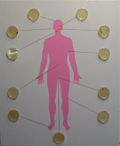 Microbial Self Portrait (or Portrait of the Artist as a Vector)