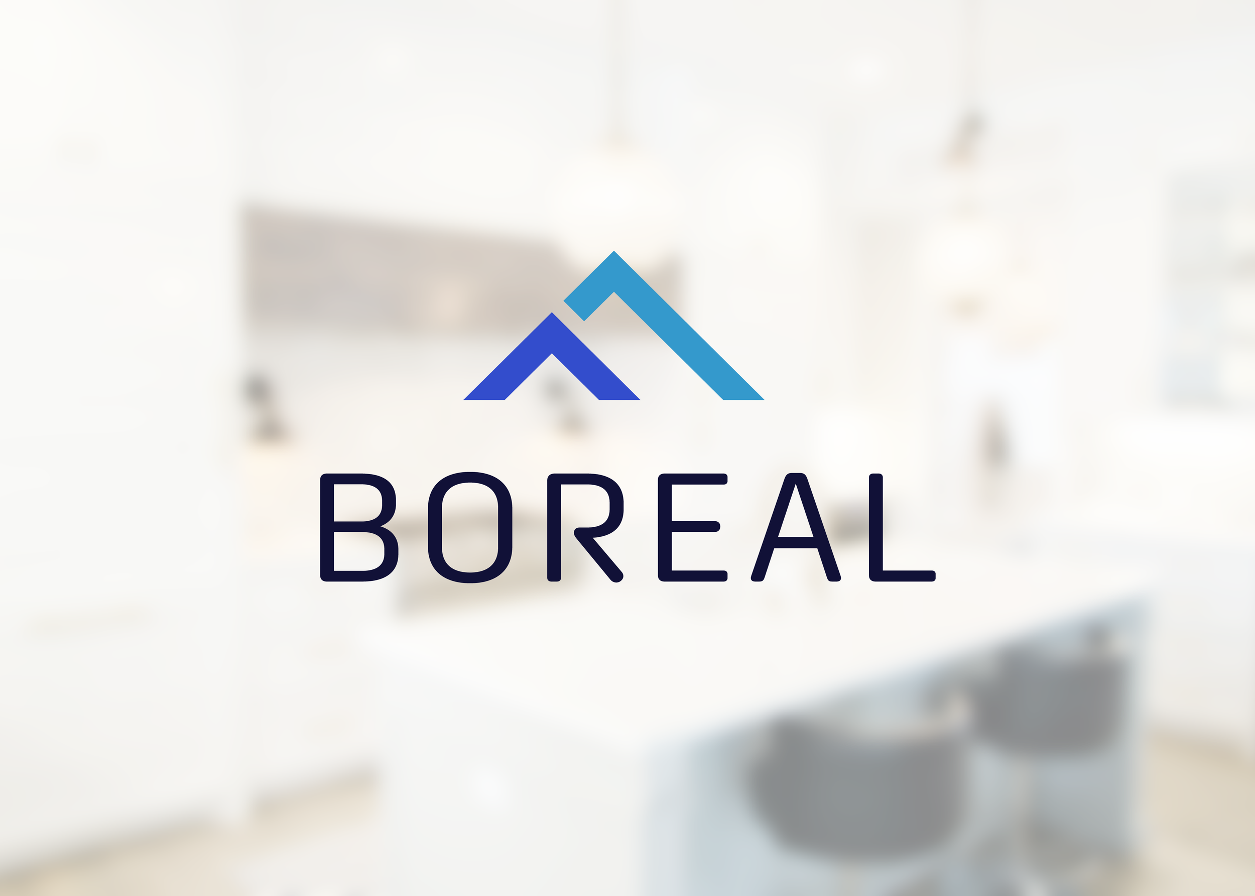 Boreal_Logo_Portolfio_02-01.png