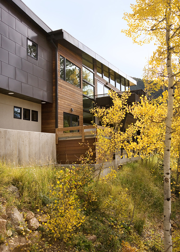  The back of the house utilizes natural materials to create a sleek and modern feel. 