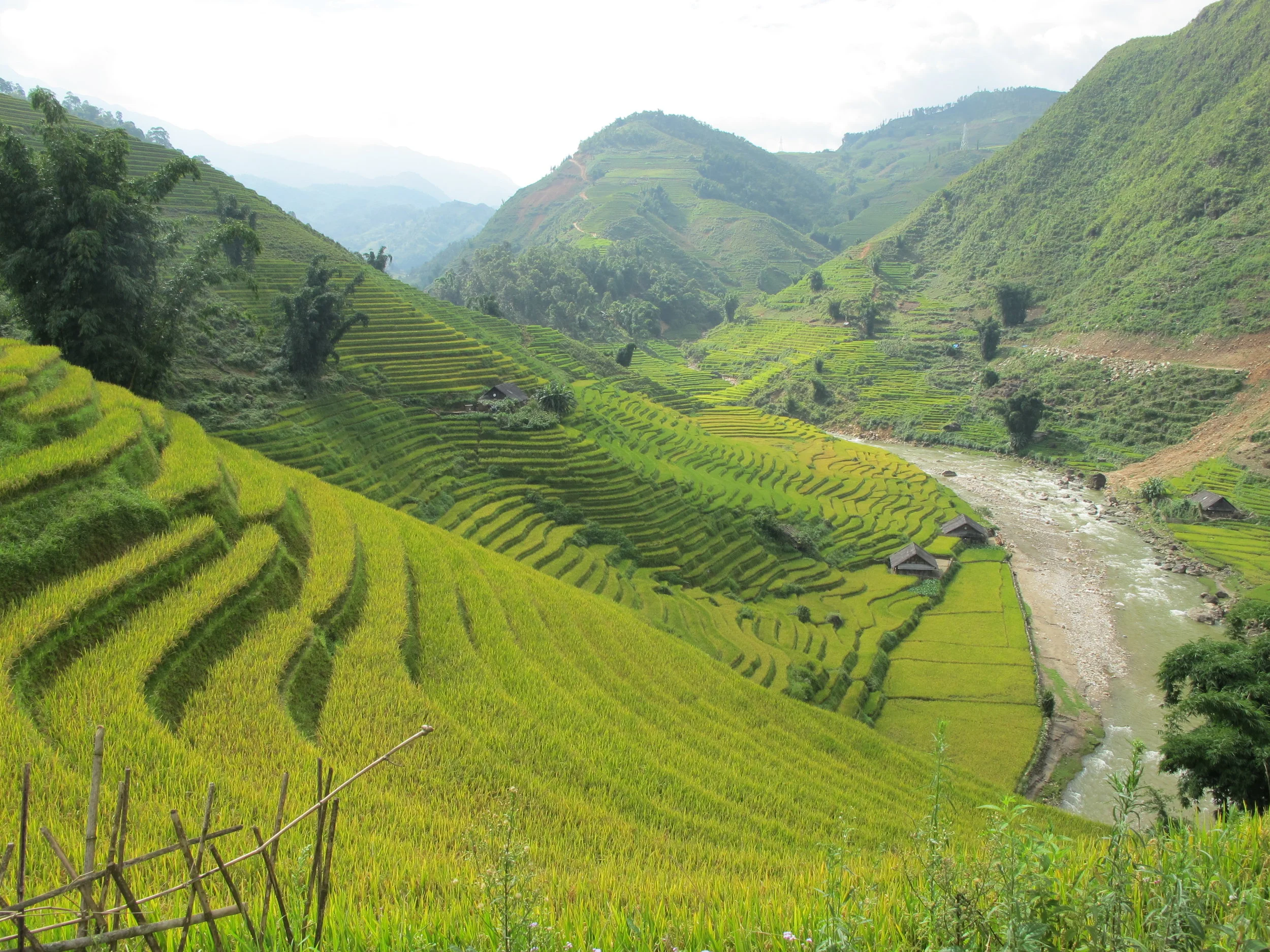 Stepping into the Green of Vietnam – Sapa