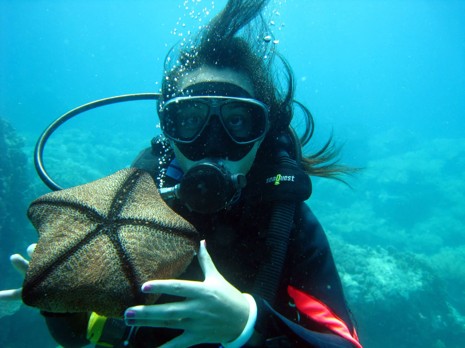 Beautiful Beaches and SCUBA Certified