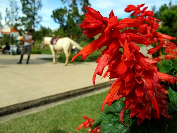 Countryside Living in the Highlands