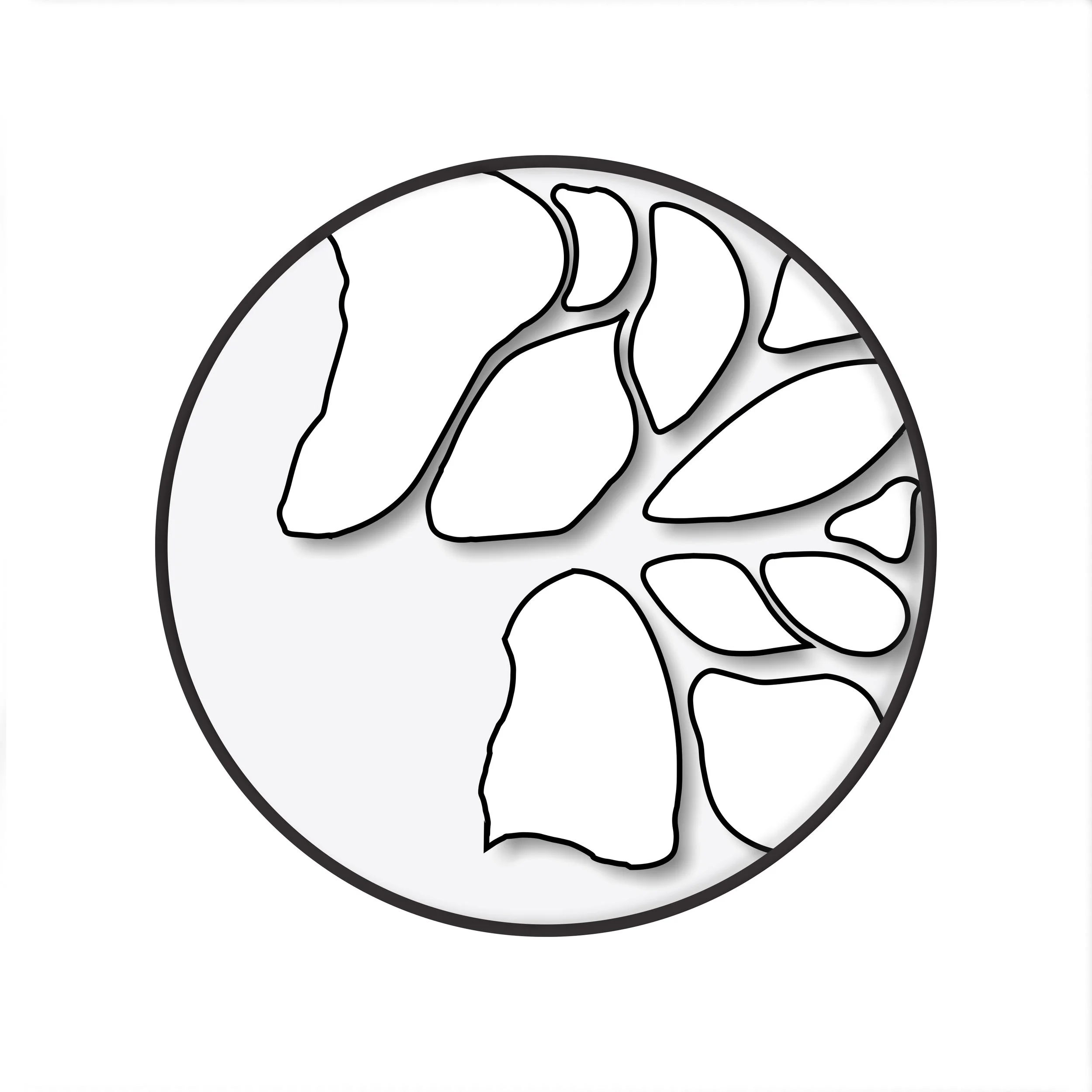 logo.jpg