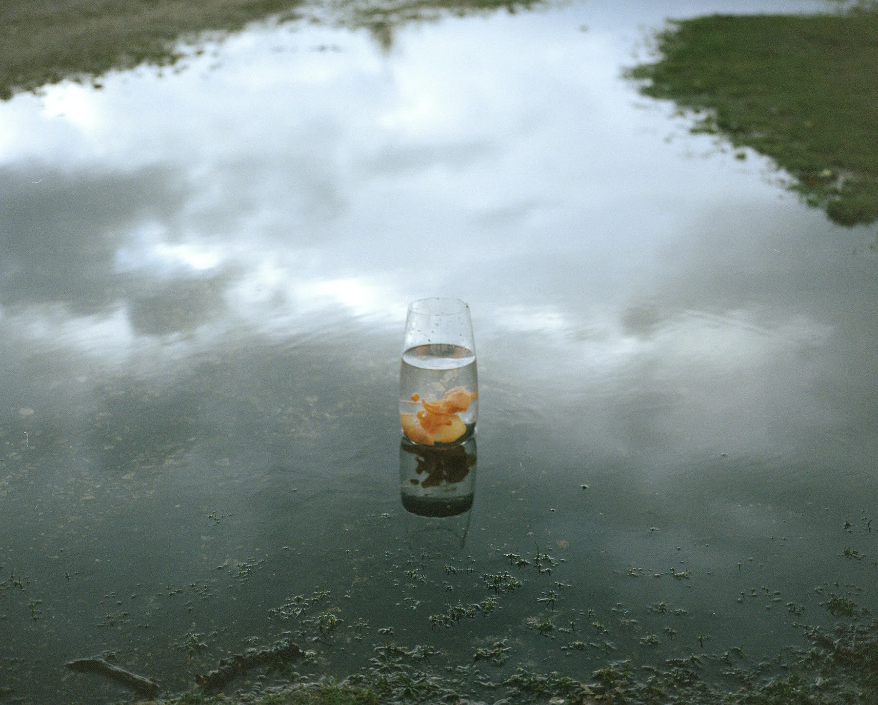 lind 005-5的副本副本.jpg