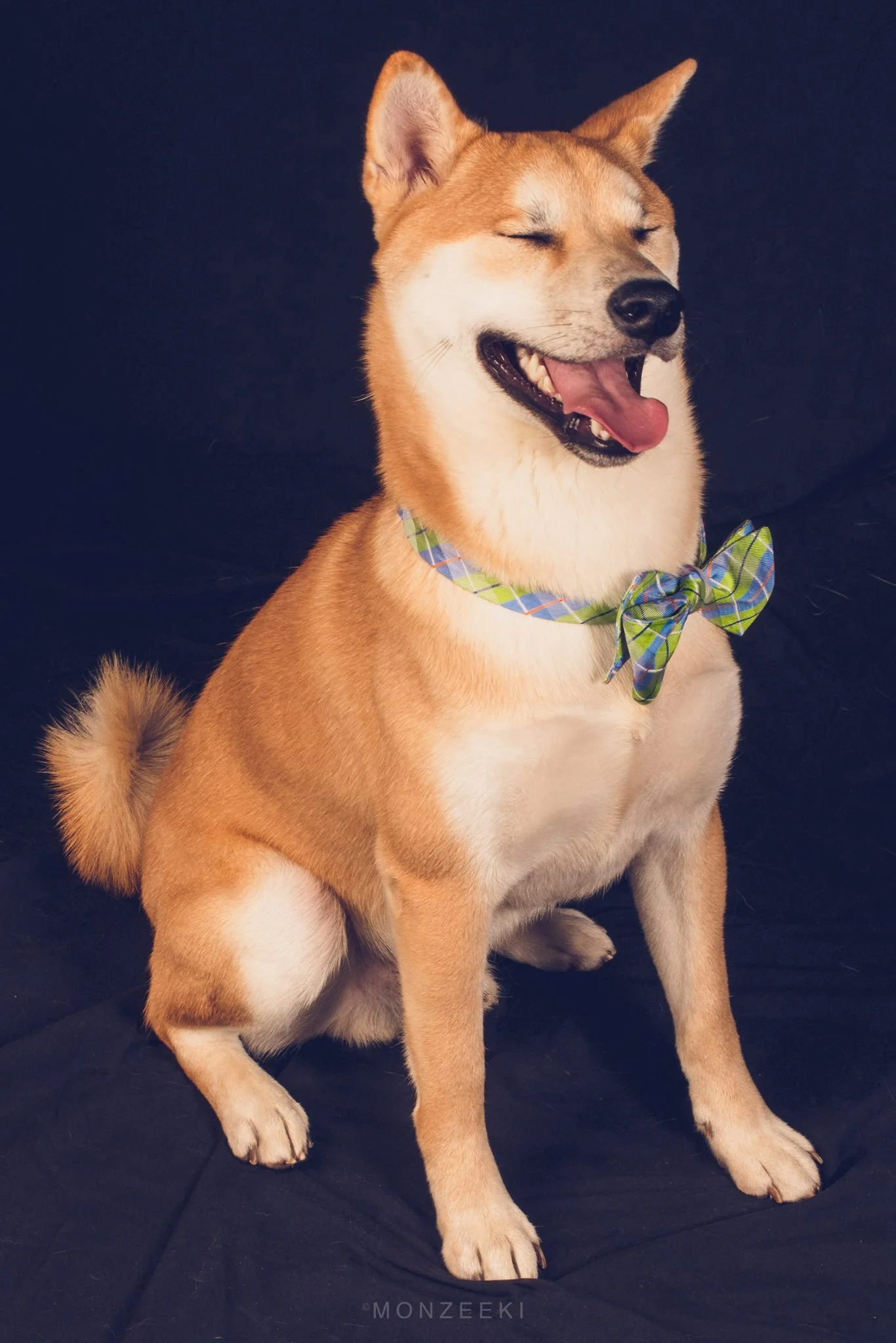 12363112_10153451846178026_7971461811394675950_o (2).jpg