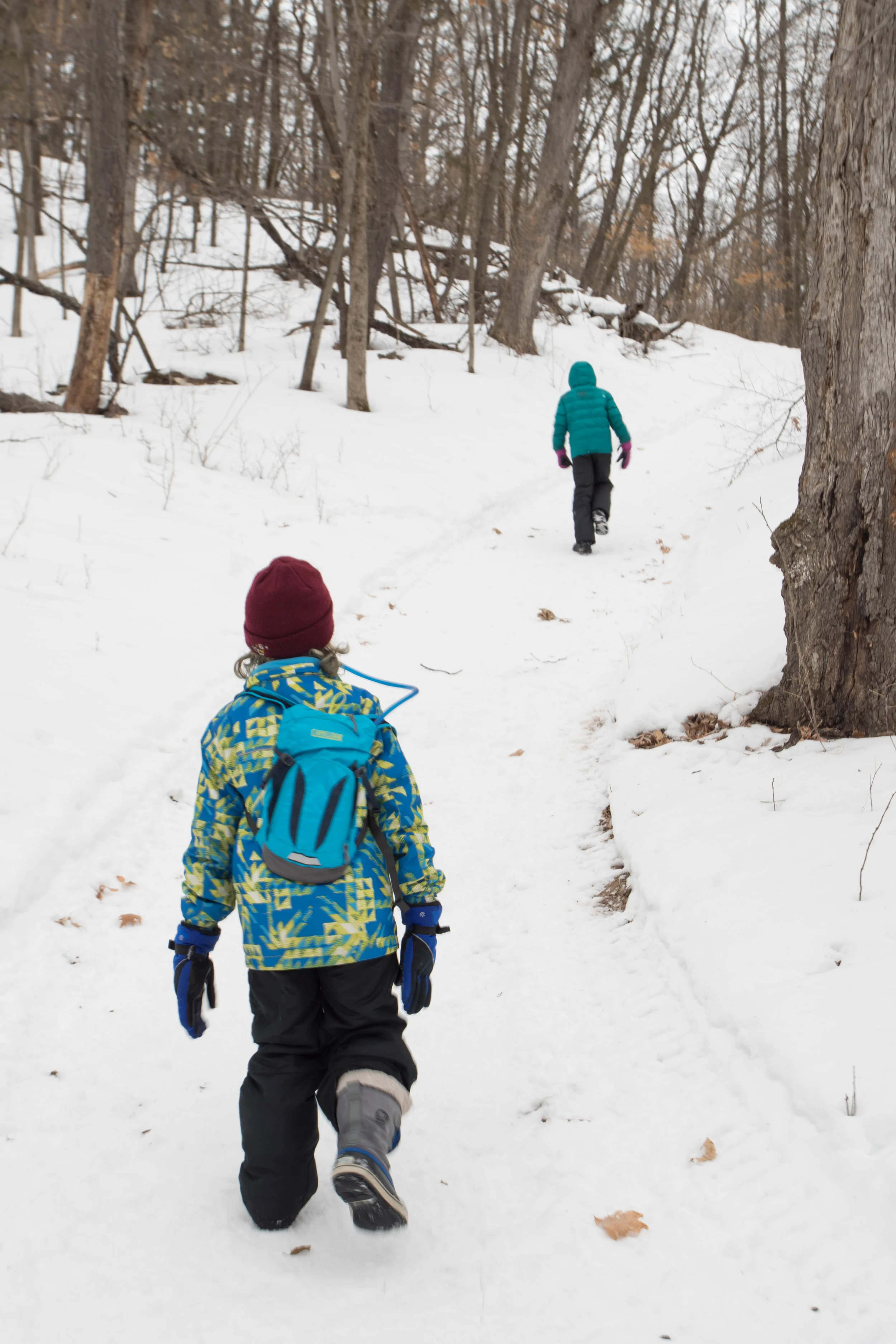 february 21, 2018 afton state park - afton, minnesota