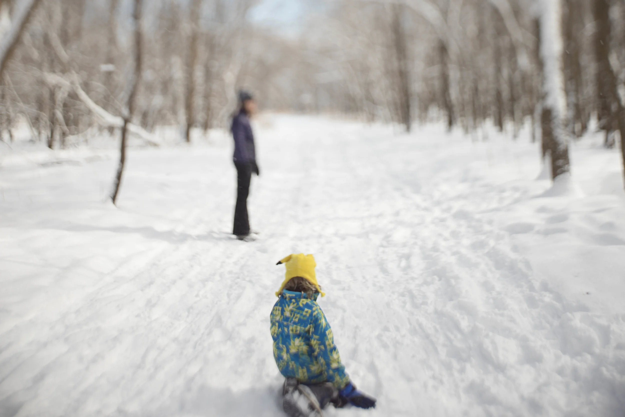 february 27, 2018 fort snelling state park - saint paul, minnesota