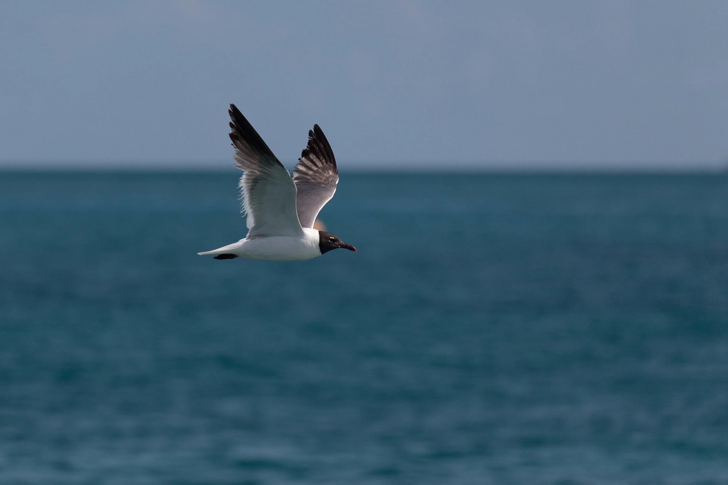 july 11, 2018 atlantic ocean - key west, florida