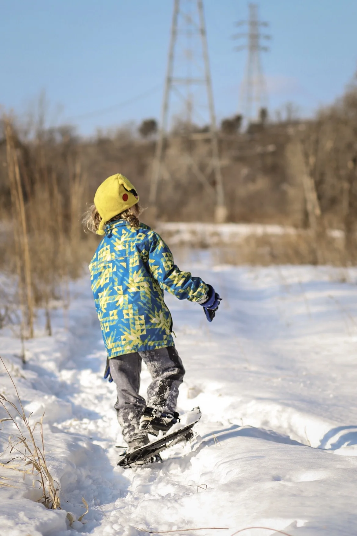 january 30, 2018 fort snelling state park - saint paul, minnesota