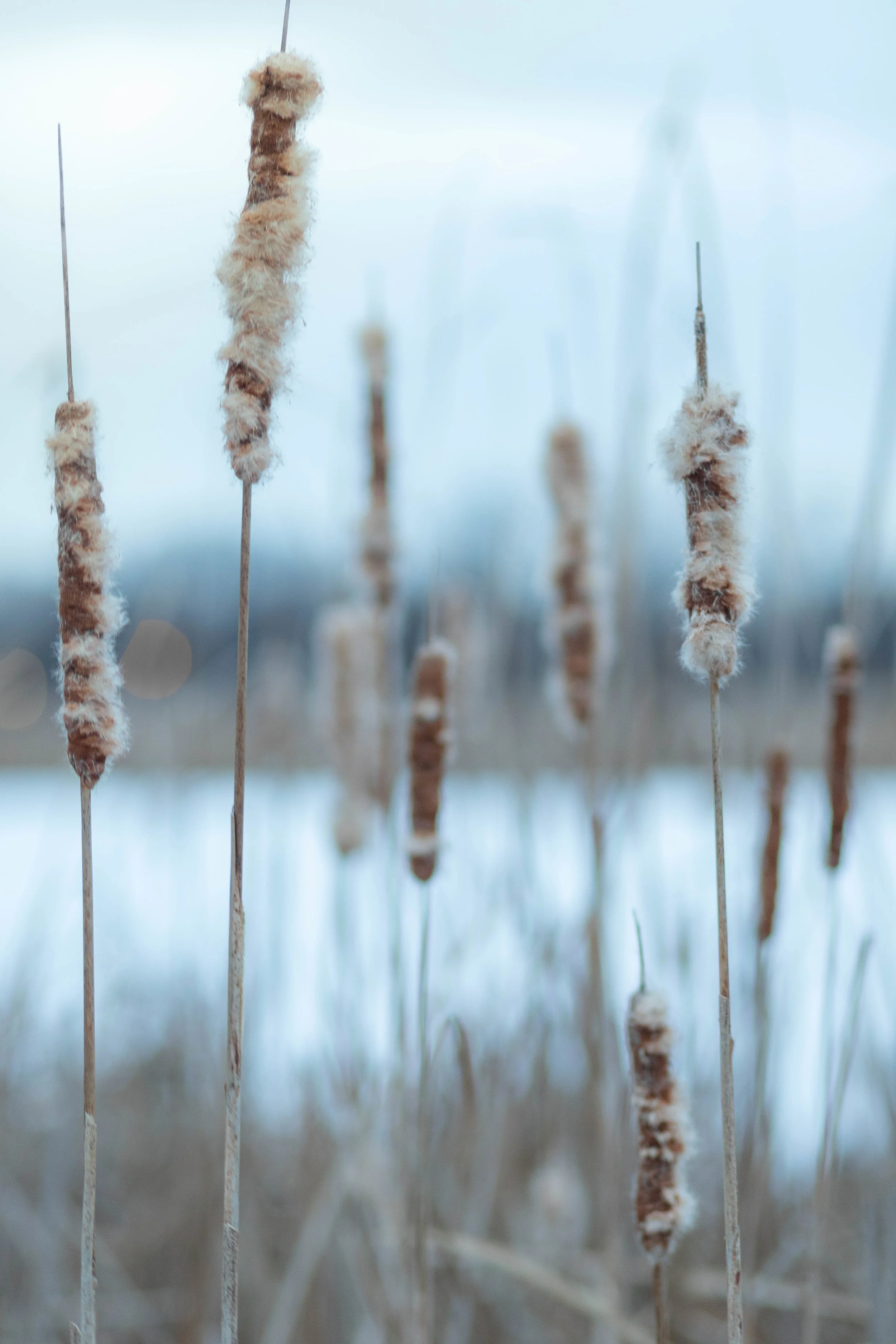 december 24, 2018 veterans' park - richfield, minnesota