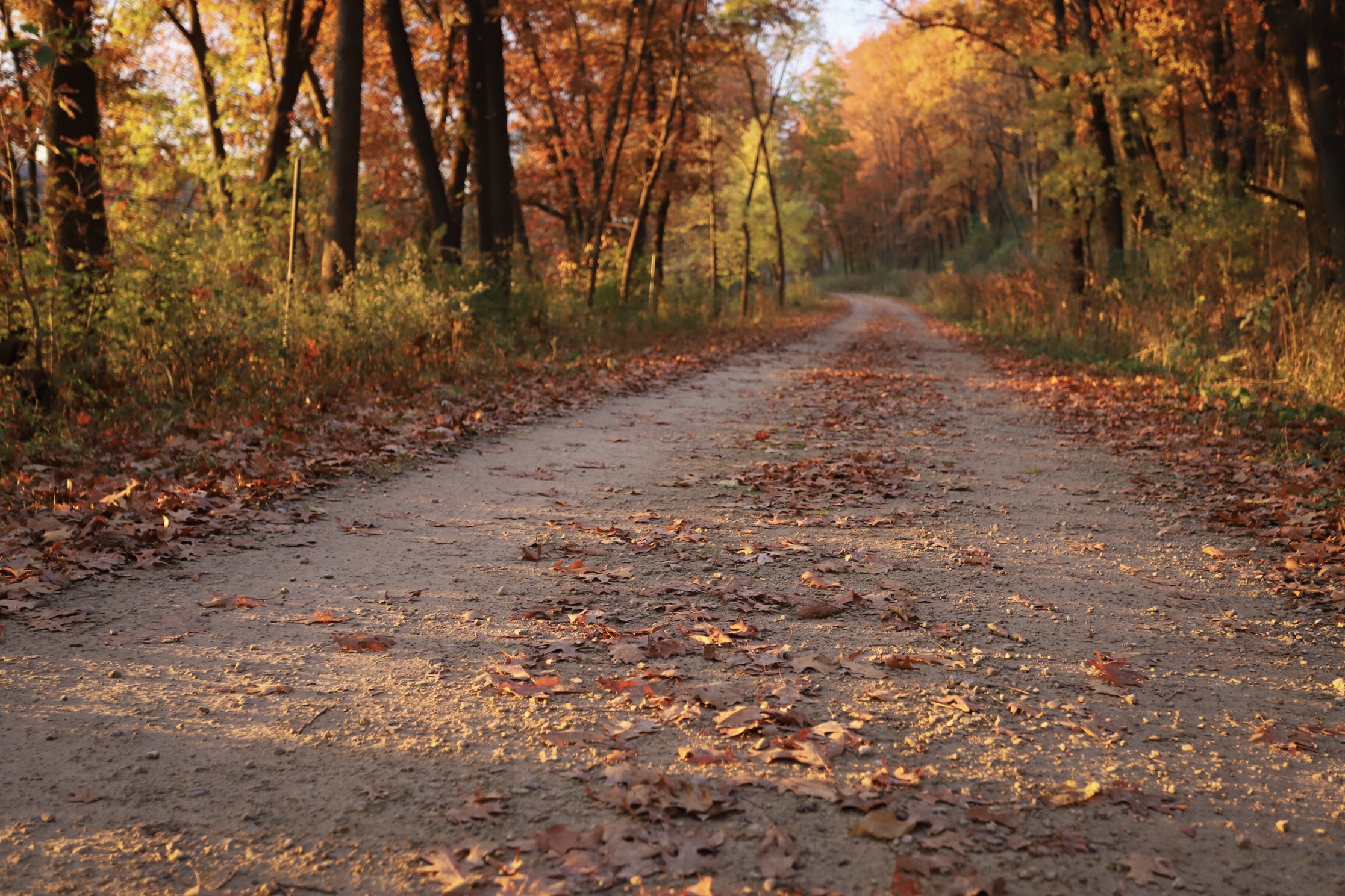 november 2, 2018 fort snelling state park - saint paul, minnesota