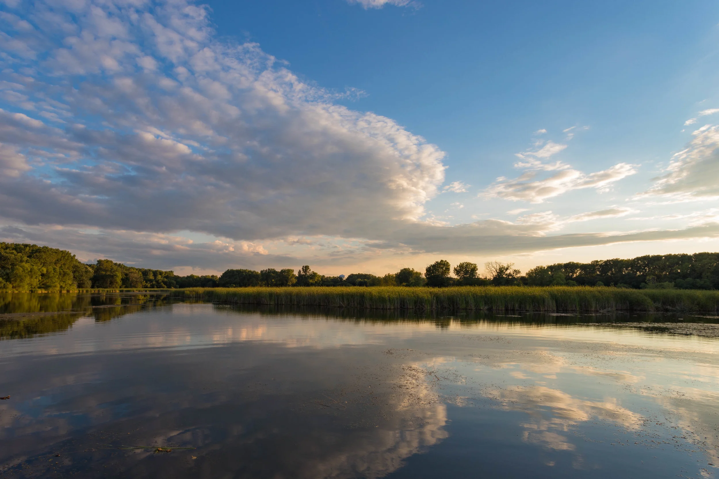 august 22, 2017 wood lake nature center - richfield, minnesota