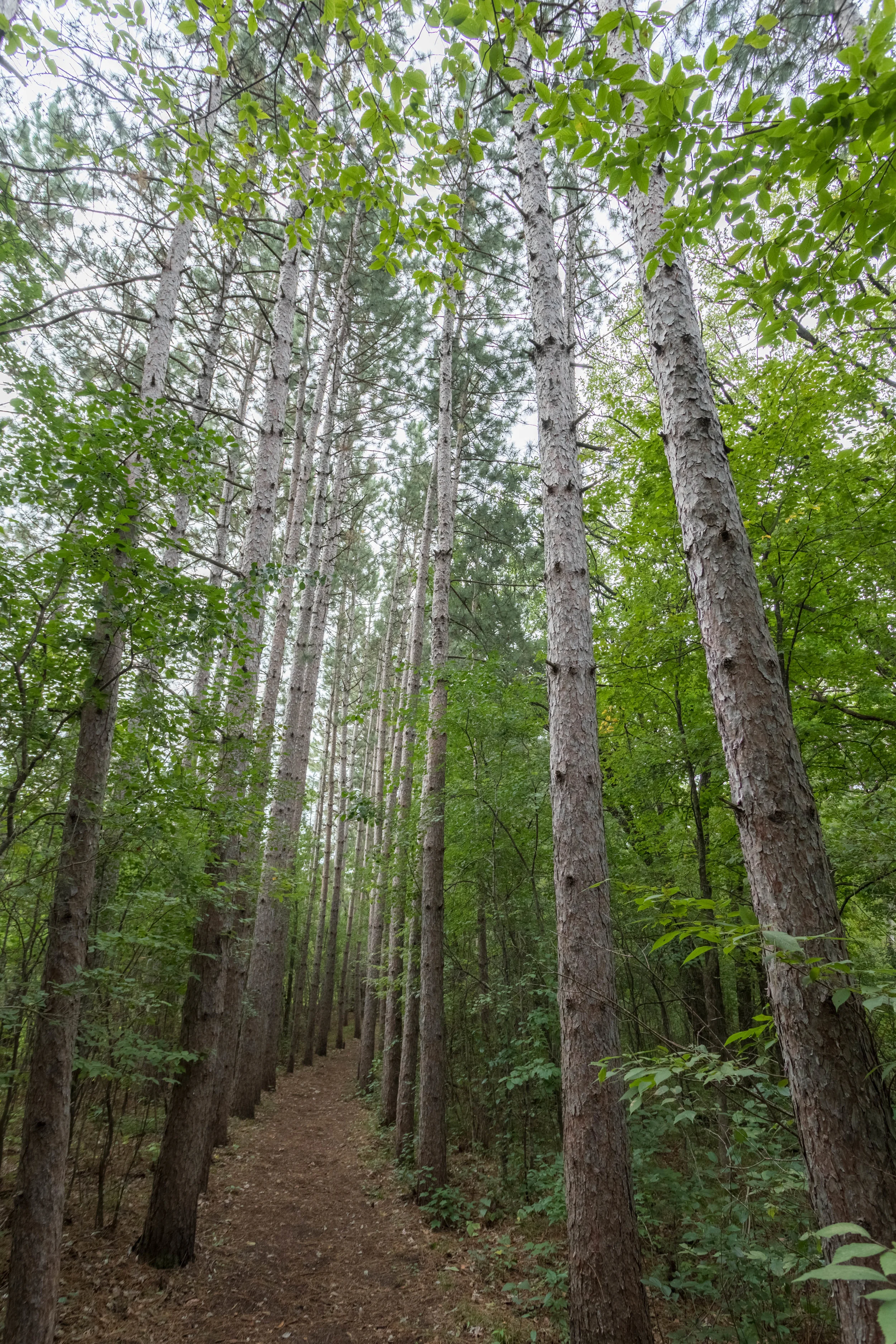 september 15, 2018 interstate state park - osceola, wisconsin