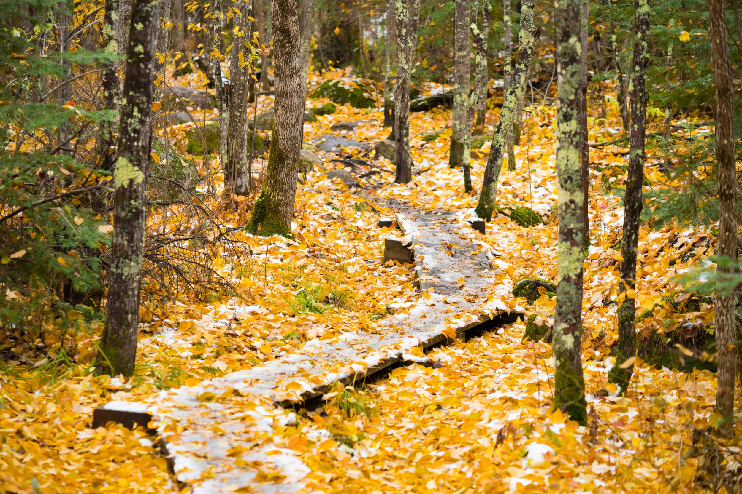 october 17, 2018 kawishiwi falls rail - ely, minnesota