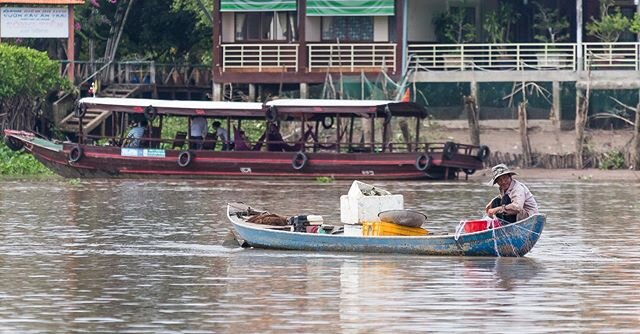 A fisherman on the Mekong River near Vinh Long, Vietnam in December 2018.
🇻🇳🇻🇳🇻🇳
&bull;
&bull;
&bull;
&bull;
&bull;
&bull;

#vietnam #vietnamcharm #vietnamtravel #visitvietnam #fishing #fisherman #river #mekongriver #ourplanetdaily #explorethew