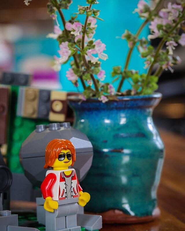 It&rsquo;s a great day for a walk through the trees.
🌴🌴🌴
&bull;
&bull;
&bull;
&bull;
&bull;
&bull;
&bull;
&bull;
#minnesotaphotographer #minnesotaphotographers #minnstagramers #boredom #bored #macro #macrophotography #macrophilia #lego #legos #leg