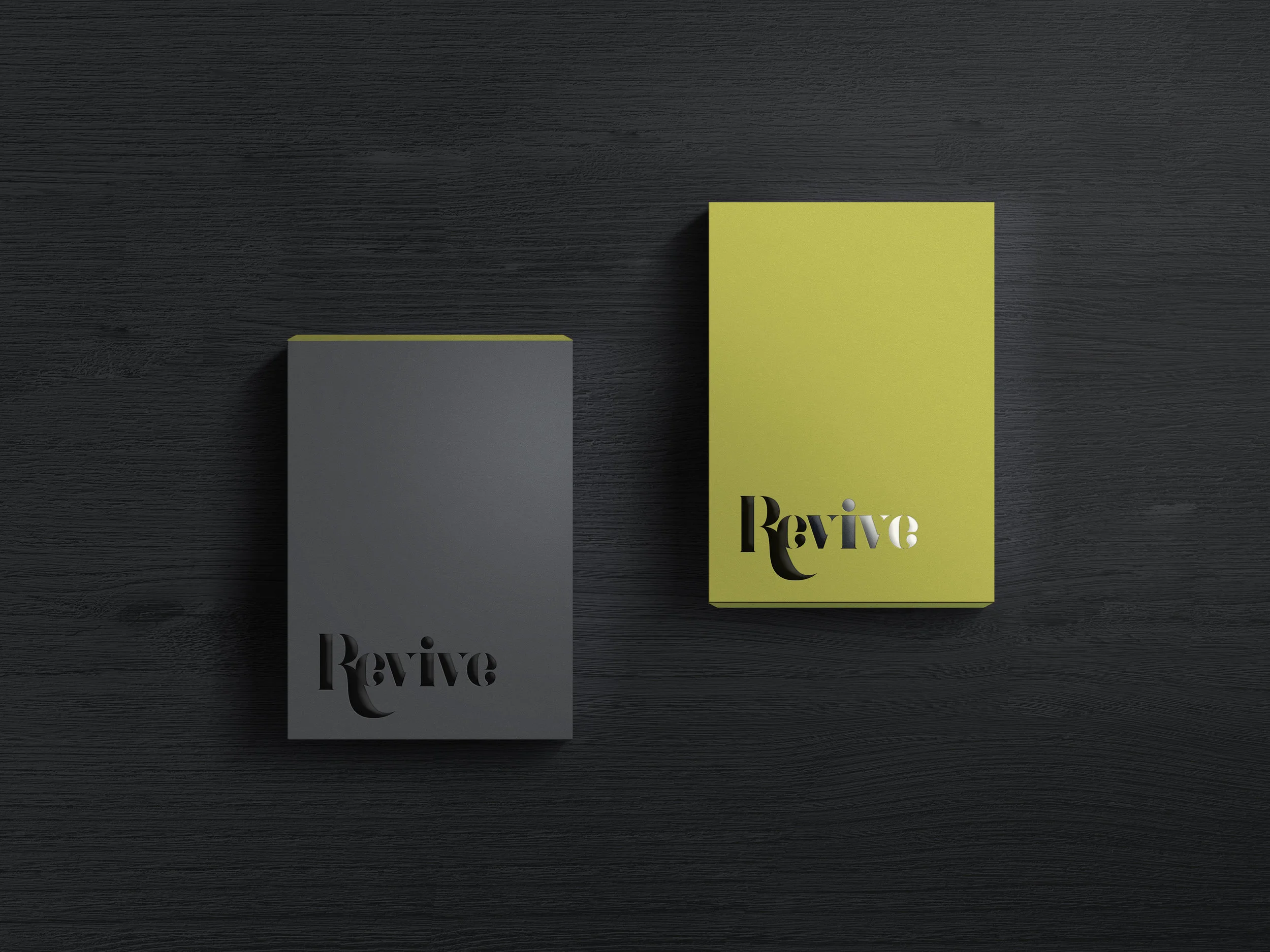 Revive.MockUp.DarkBoxDouble_1.jpg