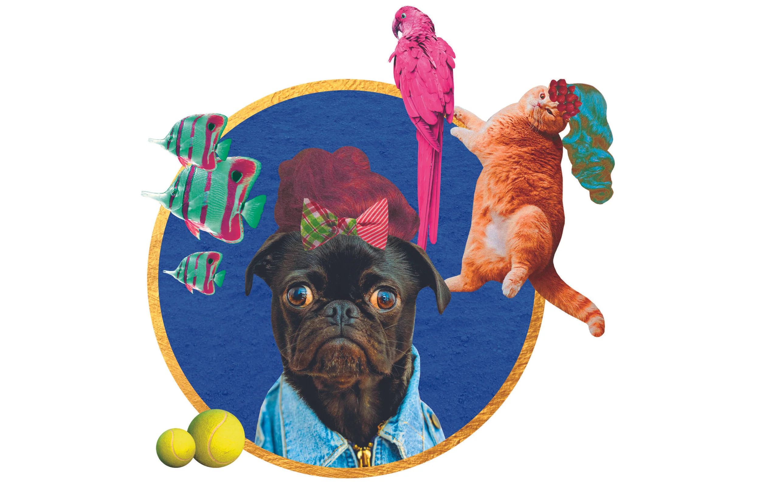 Pets