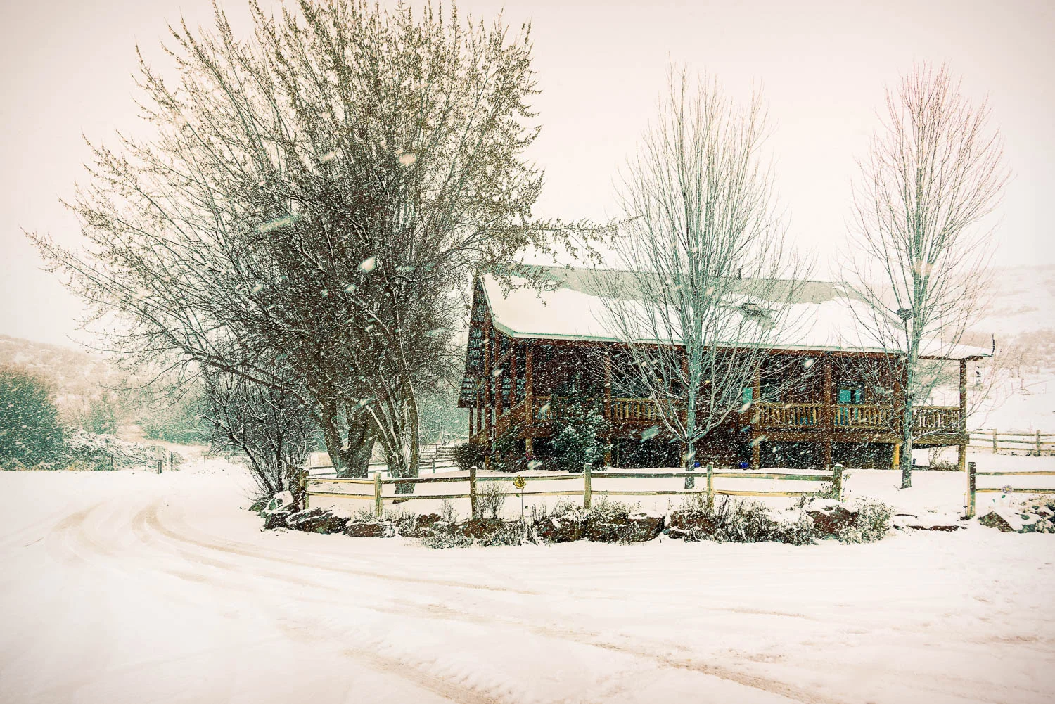 DSC_1798-Edit-2.jpg