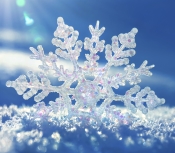 sm_snowflake_200.jpg