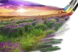 painting_250.jpg