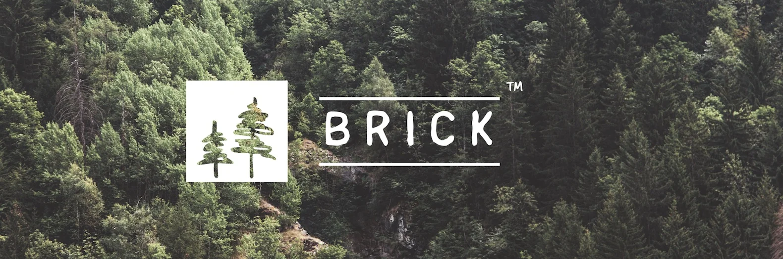 Brick TM Forest Banner.jpg