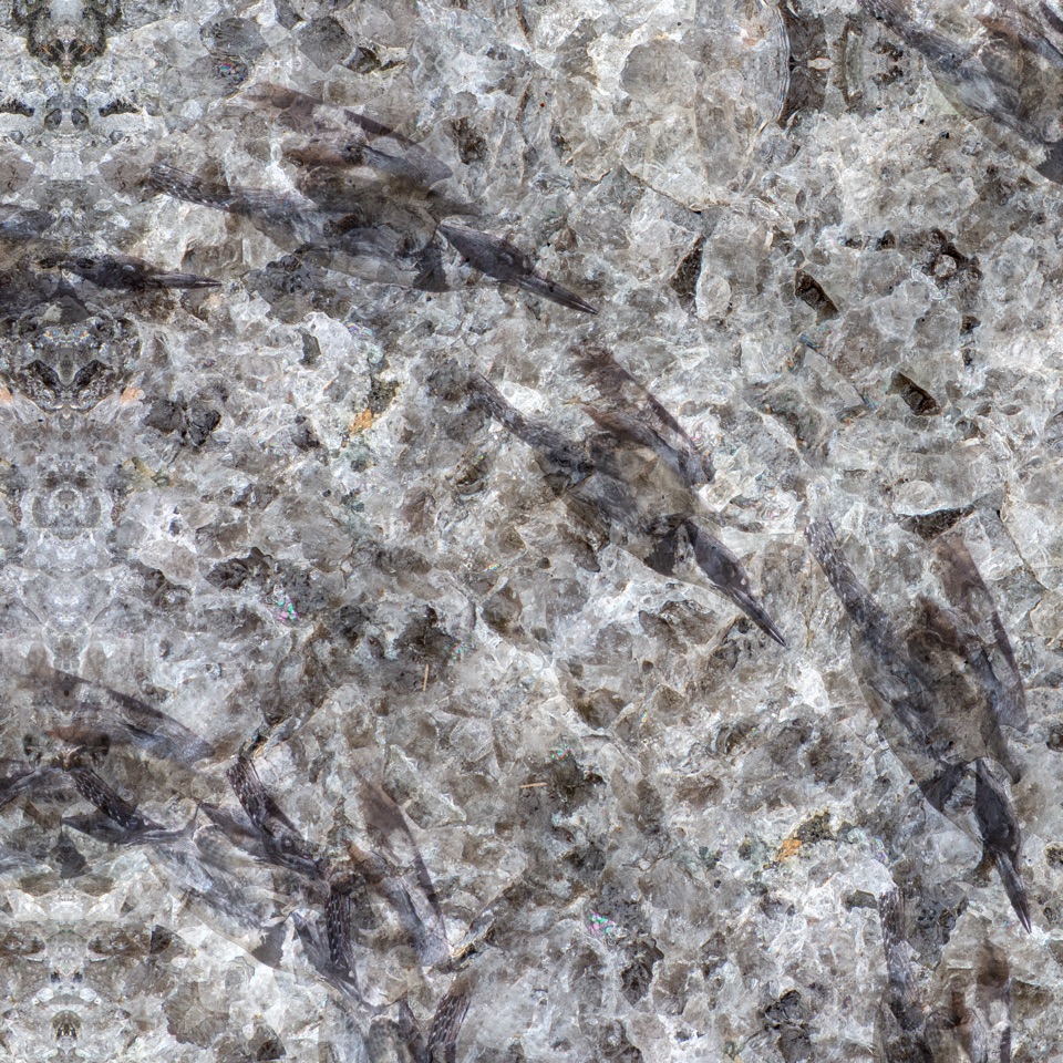Kingfisher Quartz (detail) - 2018