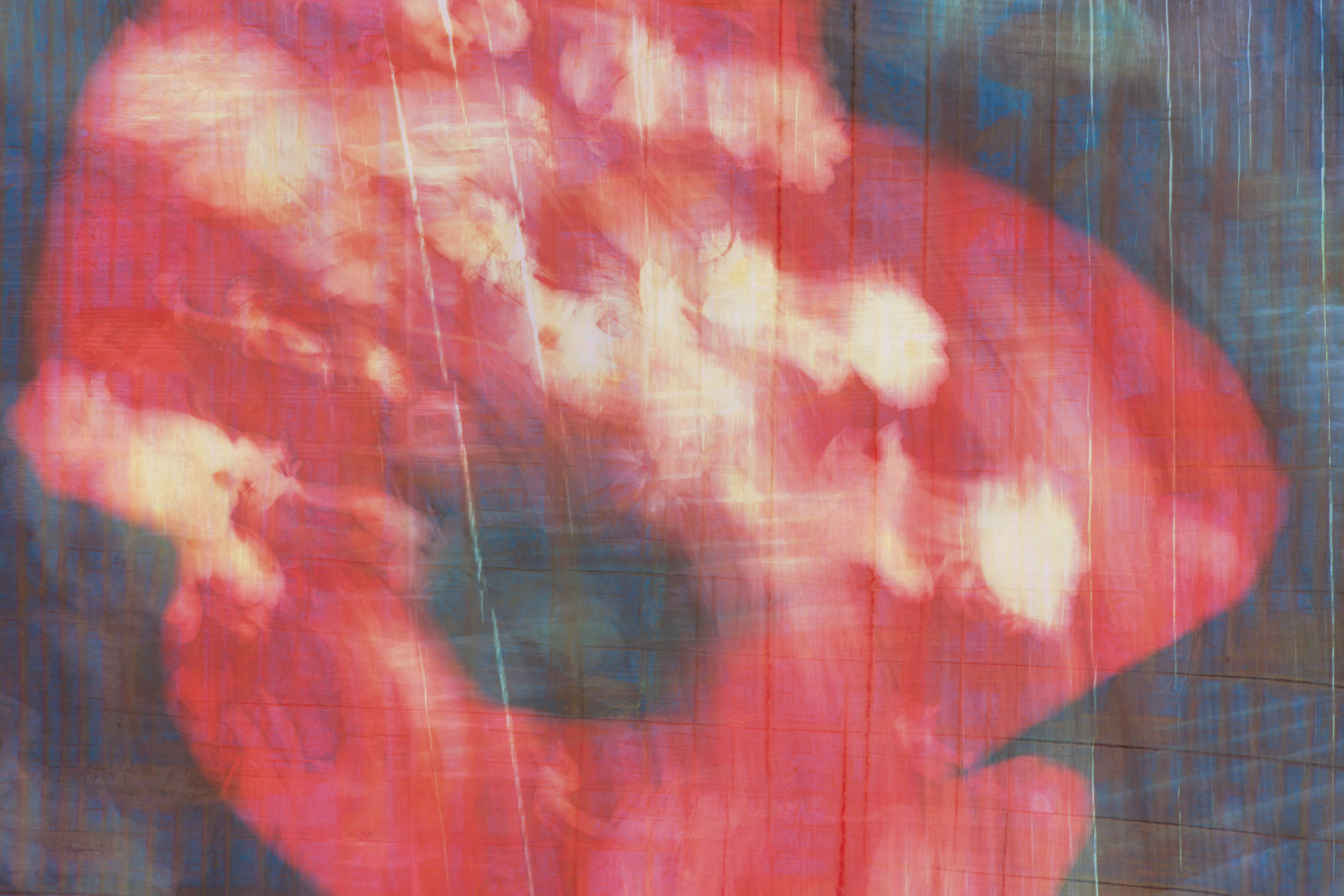 Cosmos