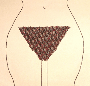 g9oar.gif?format=1000w