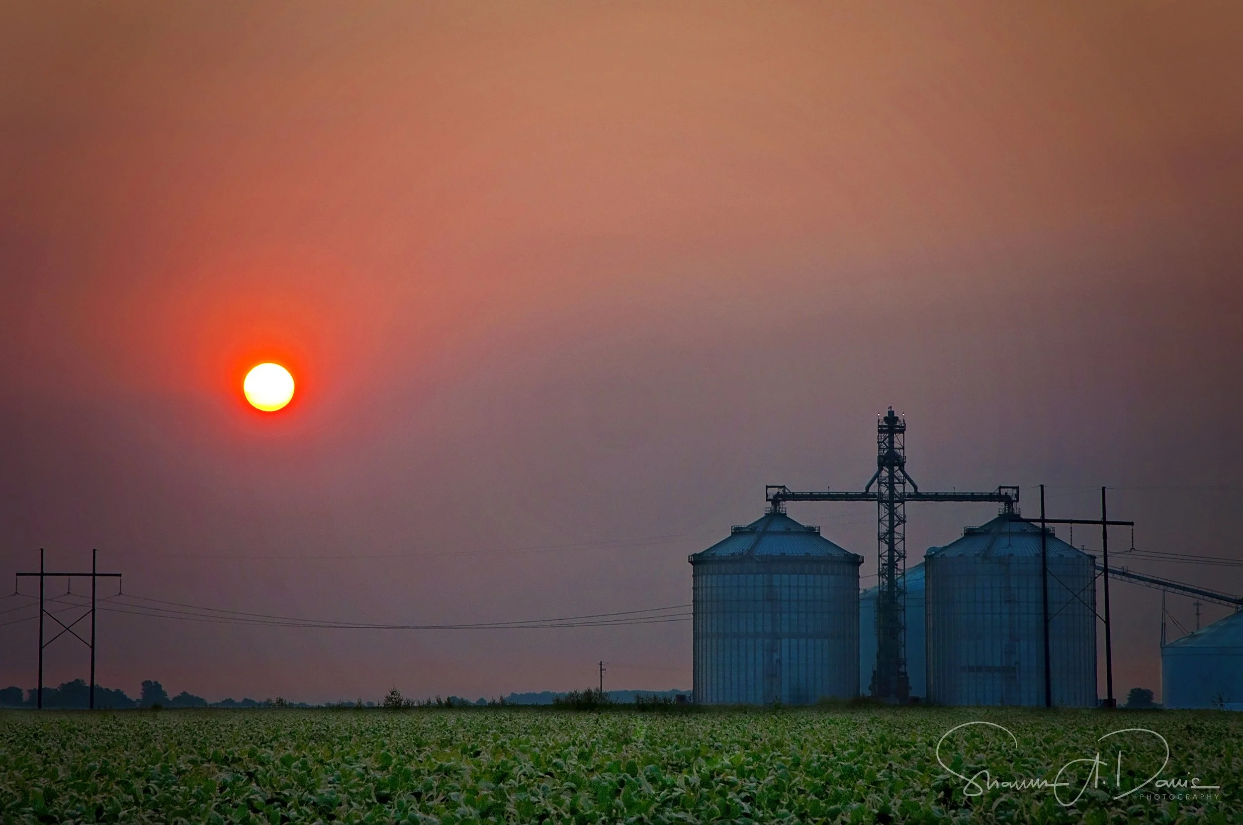 _DSC0384 signed cg prints.jpg