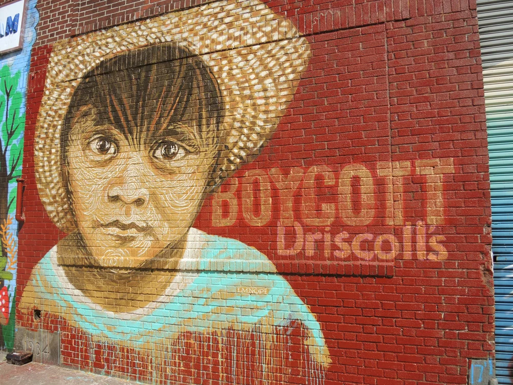BOYCOTTDRISCOLLS.jpg