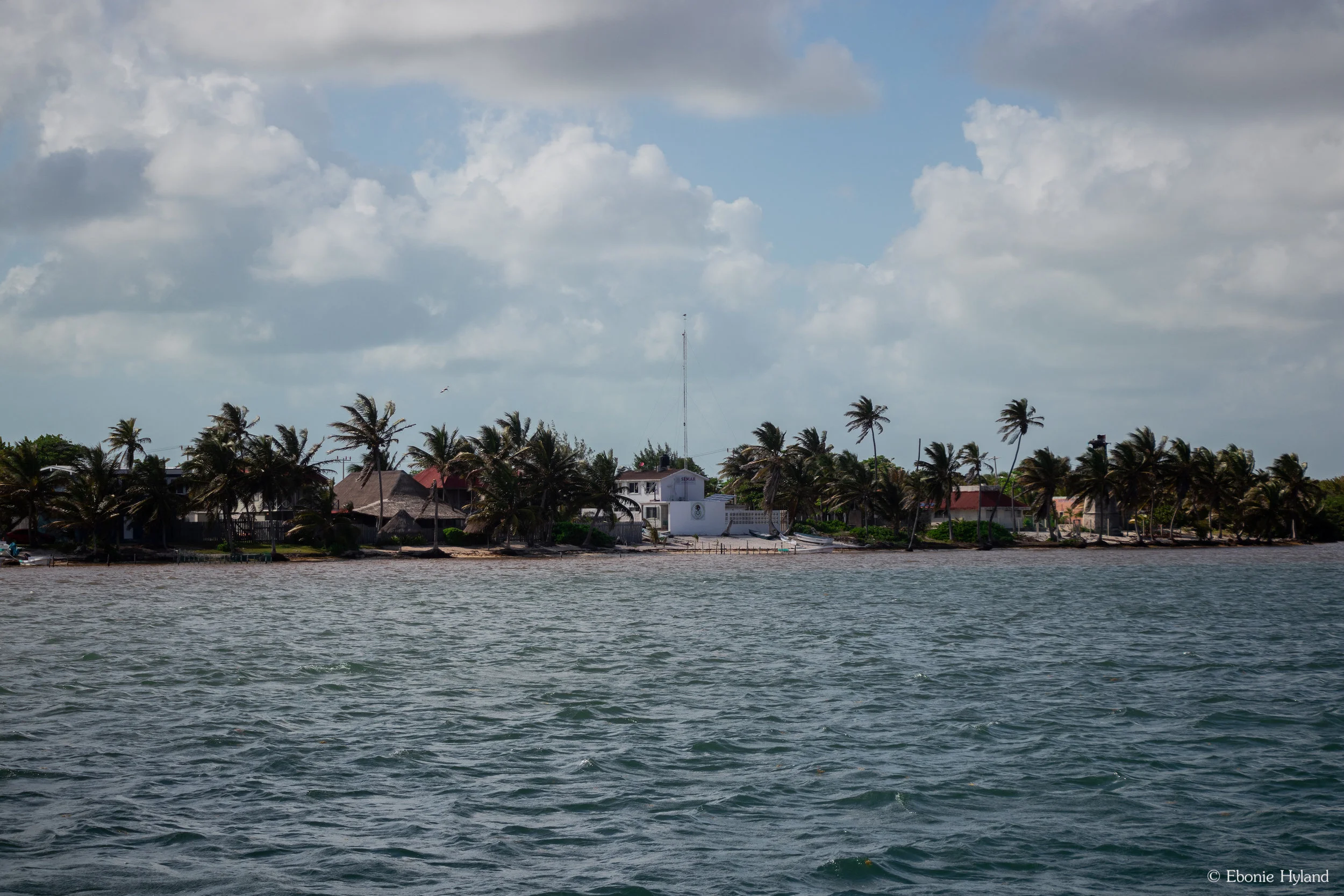 IMG_8487.jpg