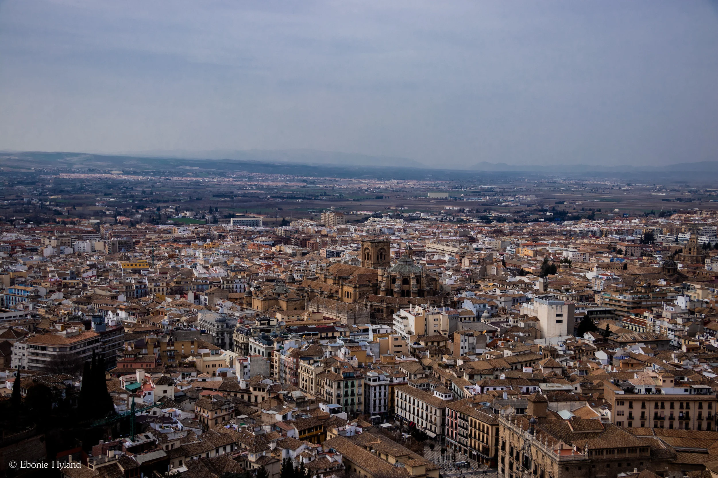 IMG_6781.jpg