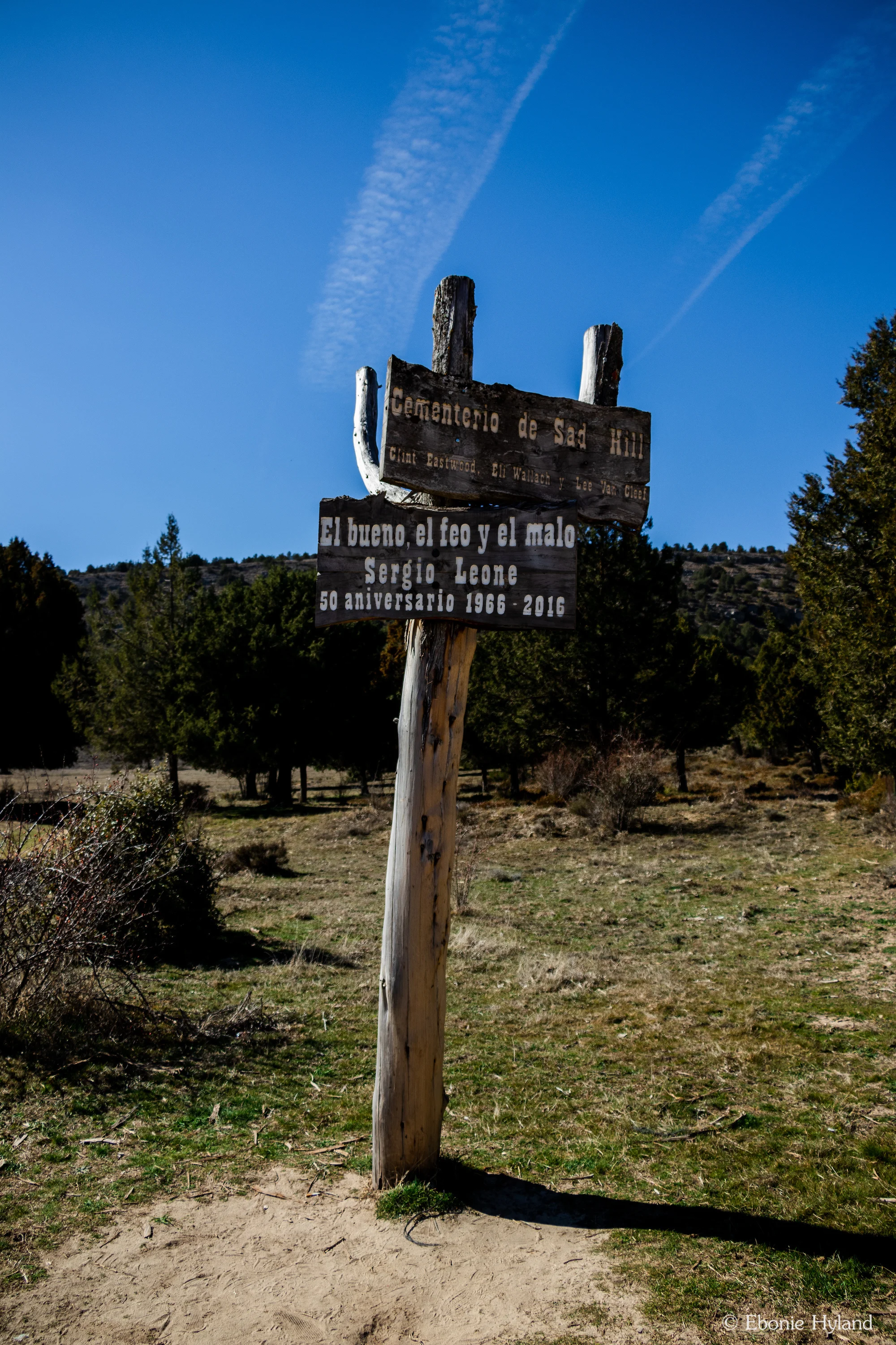 IMG_7846.jpg