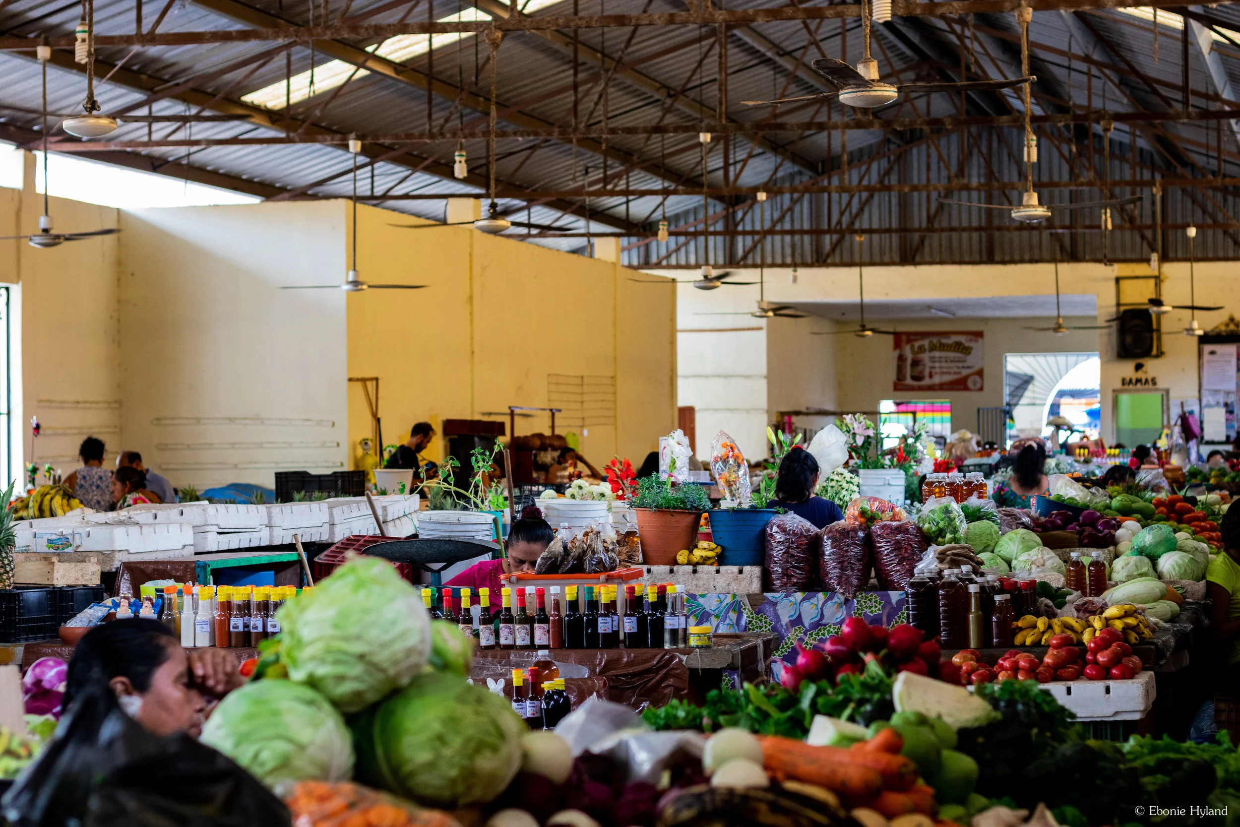The awesome Mercado Municipal! Valladolid, Mexico, 2019