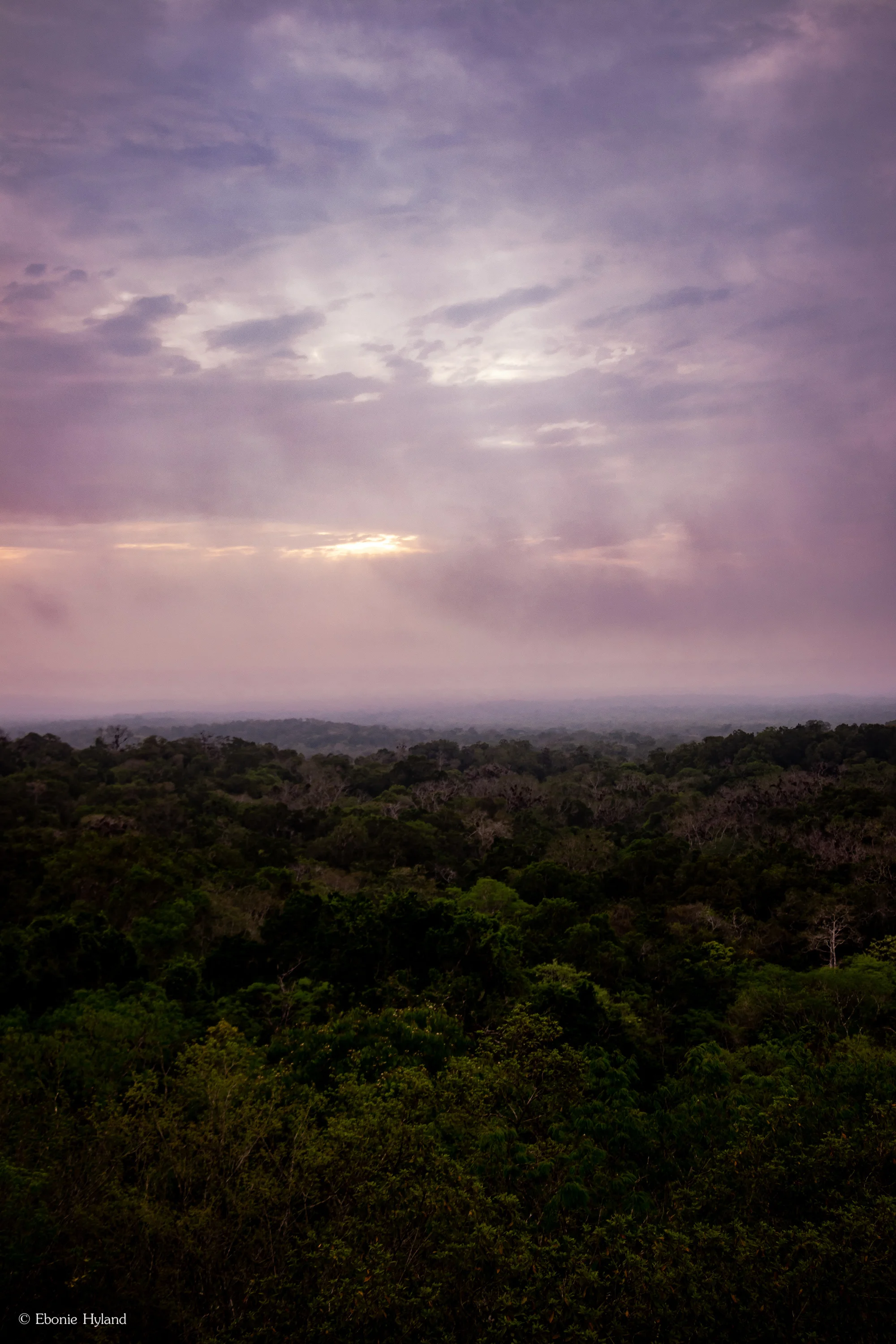 Tikal, Guatemala