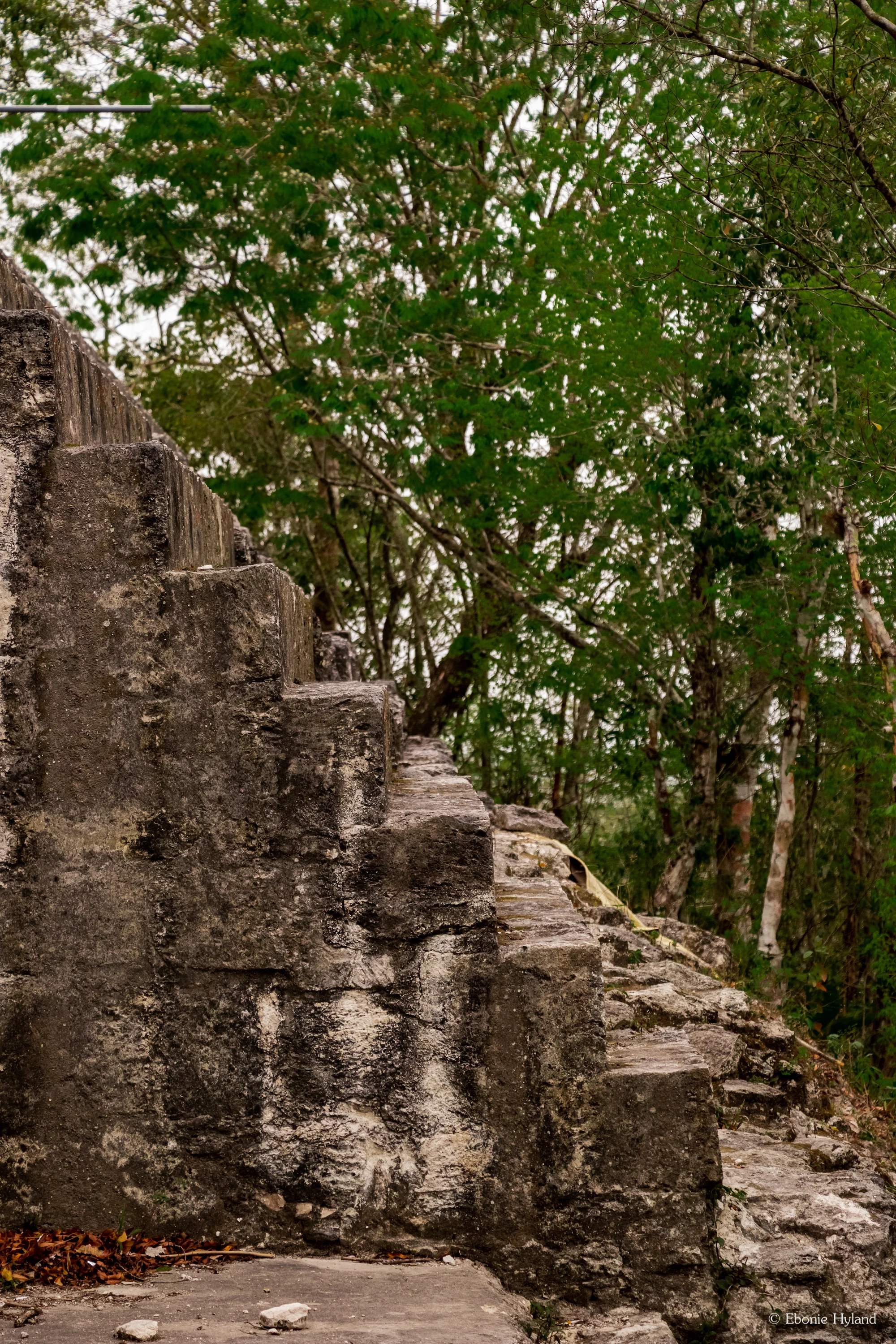 Tikal, Guatemala