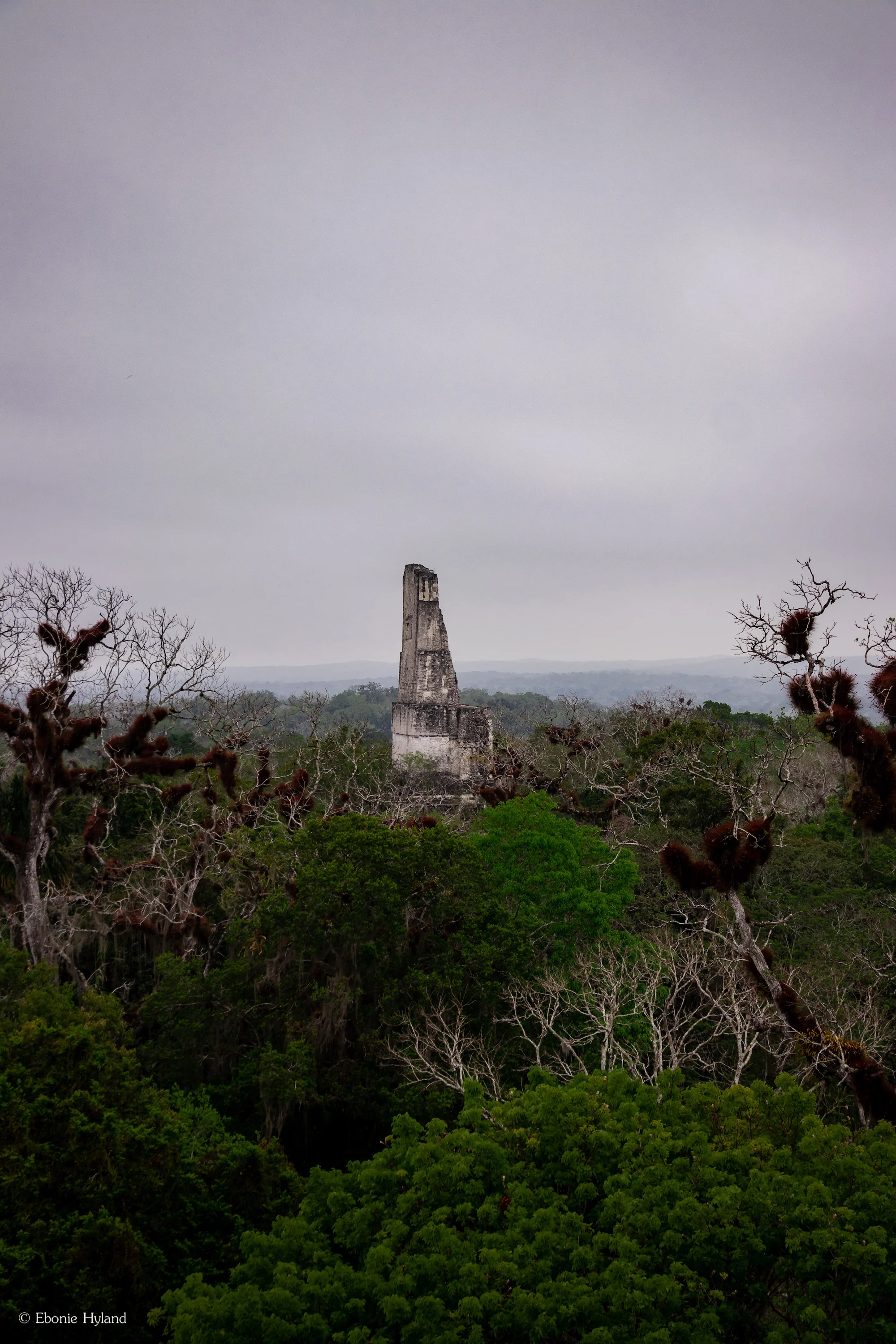 Tikal, Guatemala