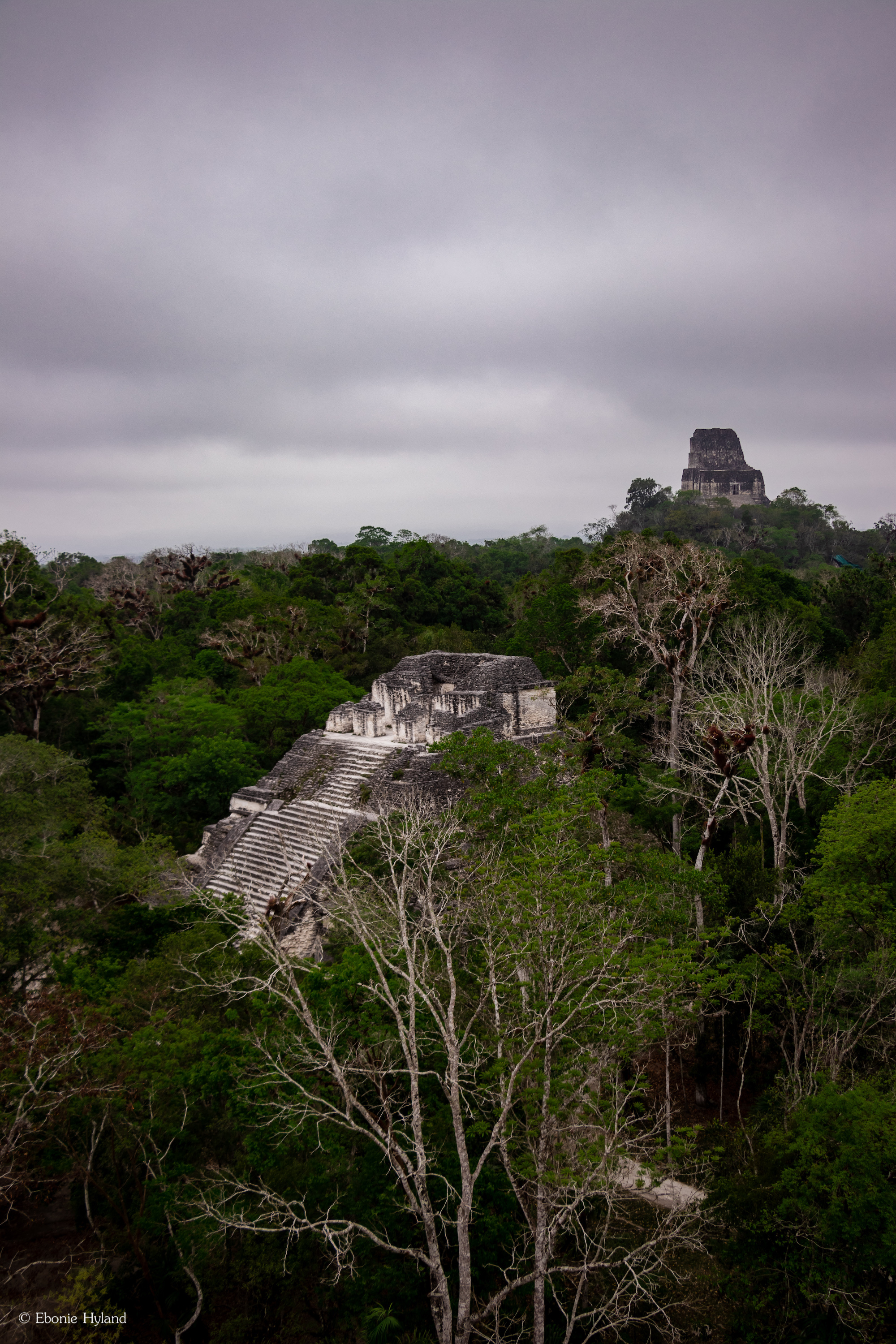 Tikal, Guatemala