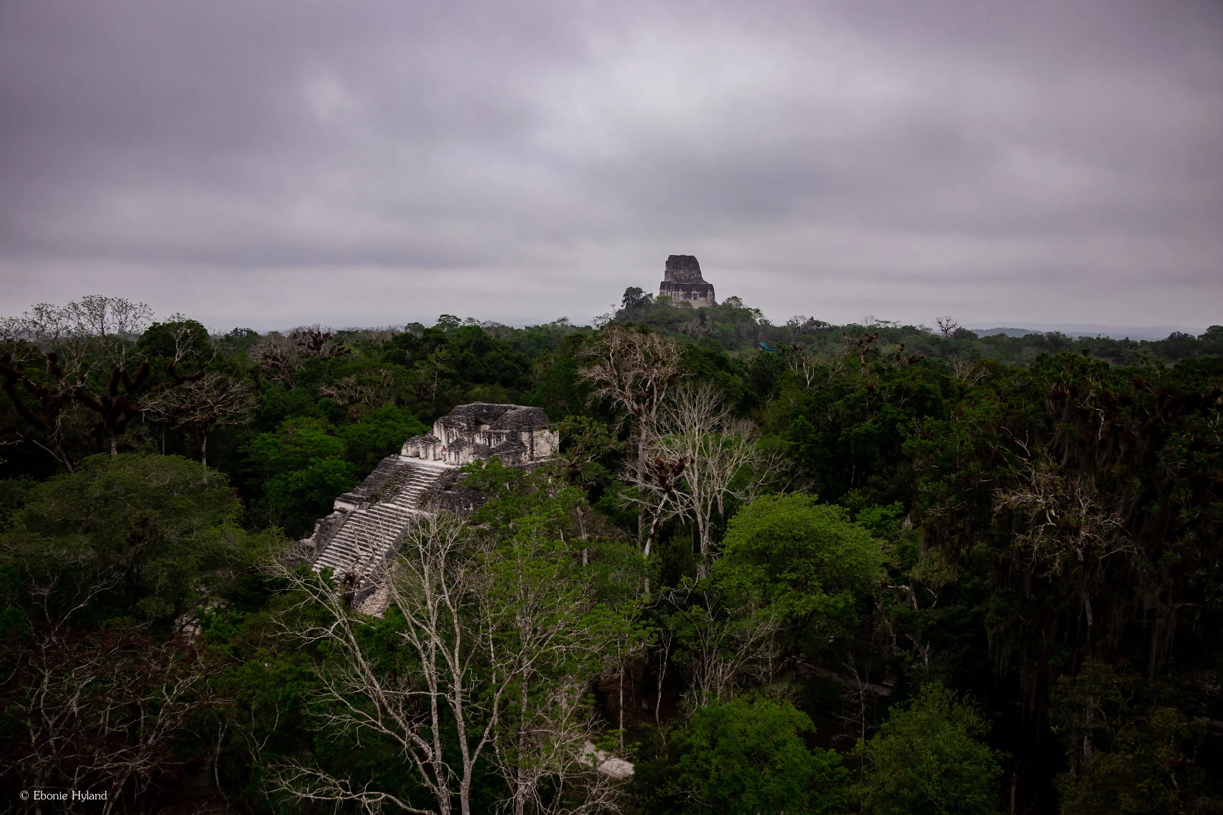 Tikal, Guatemala
