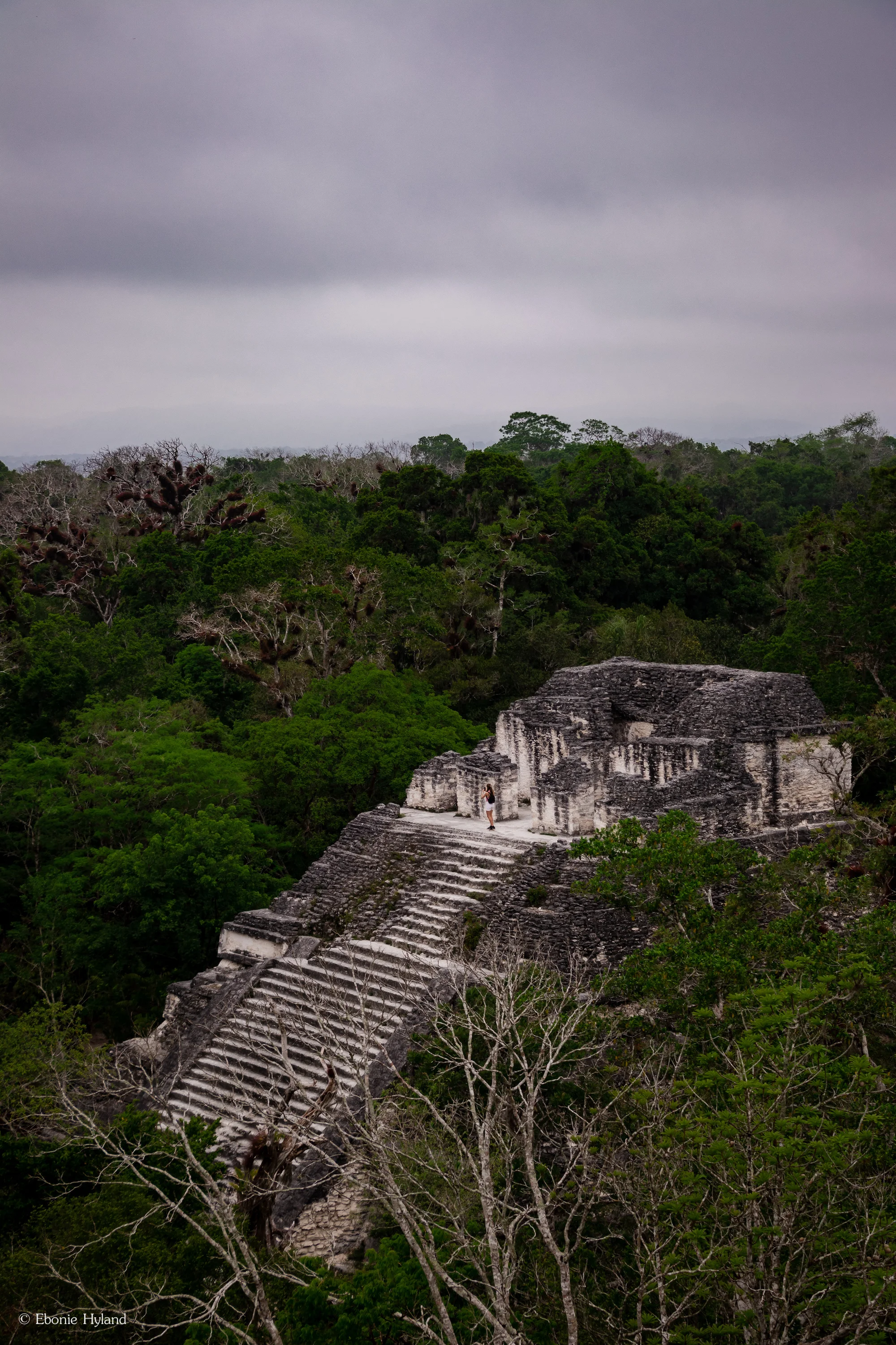 Tikal, Guatemala