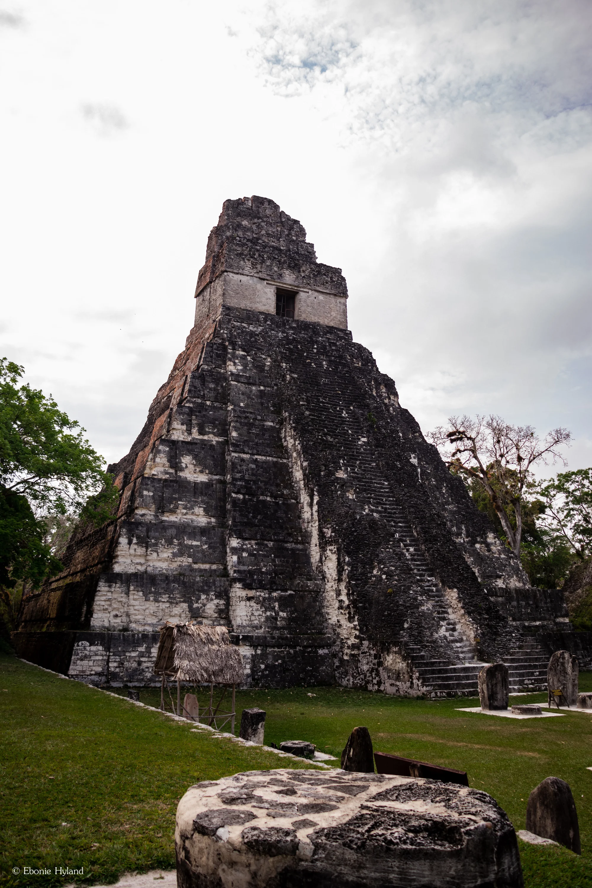Tikal, Guatemala