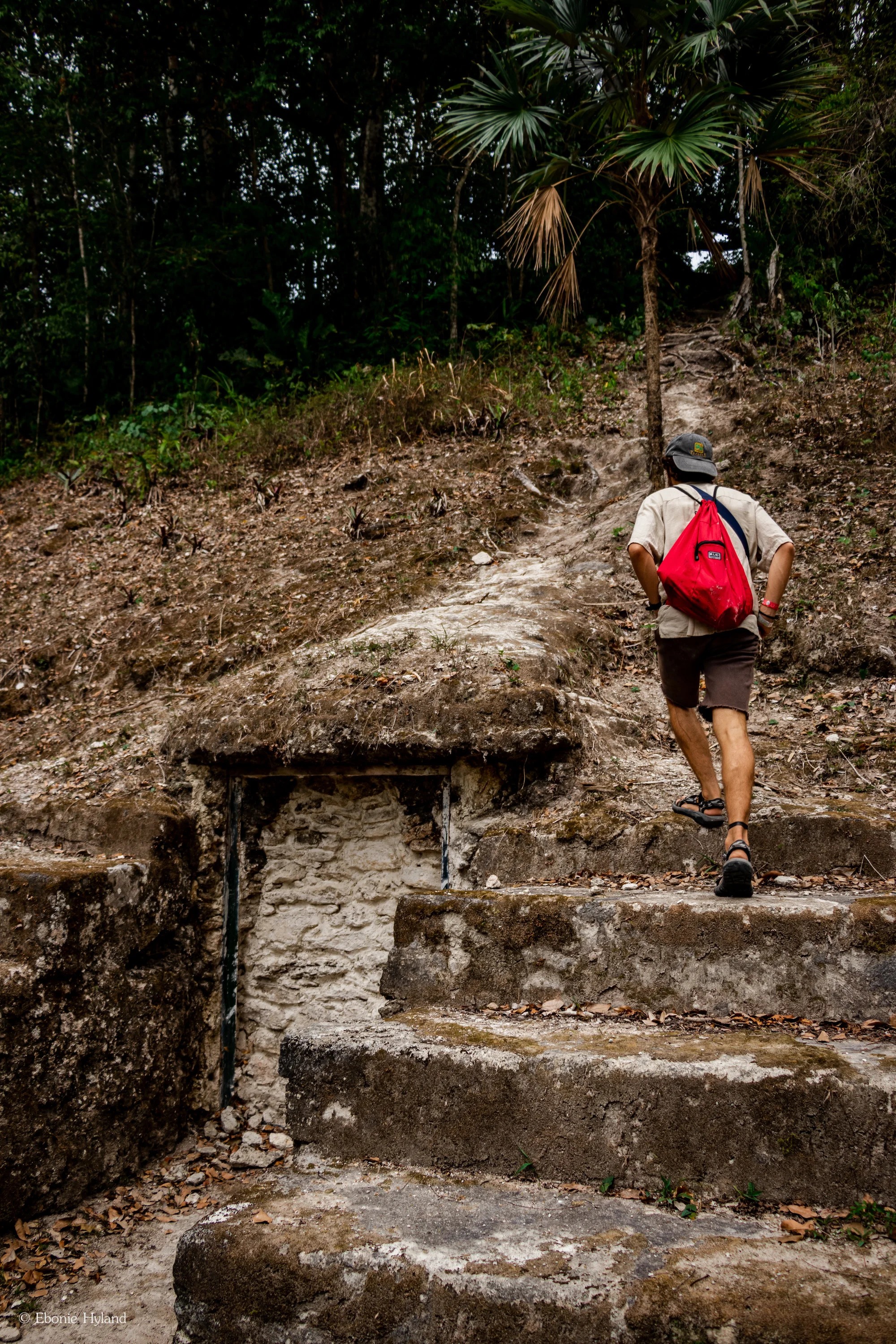 Tikal, Guatemala