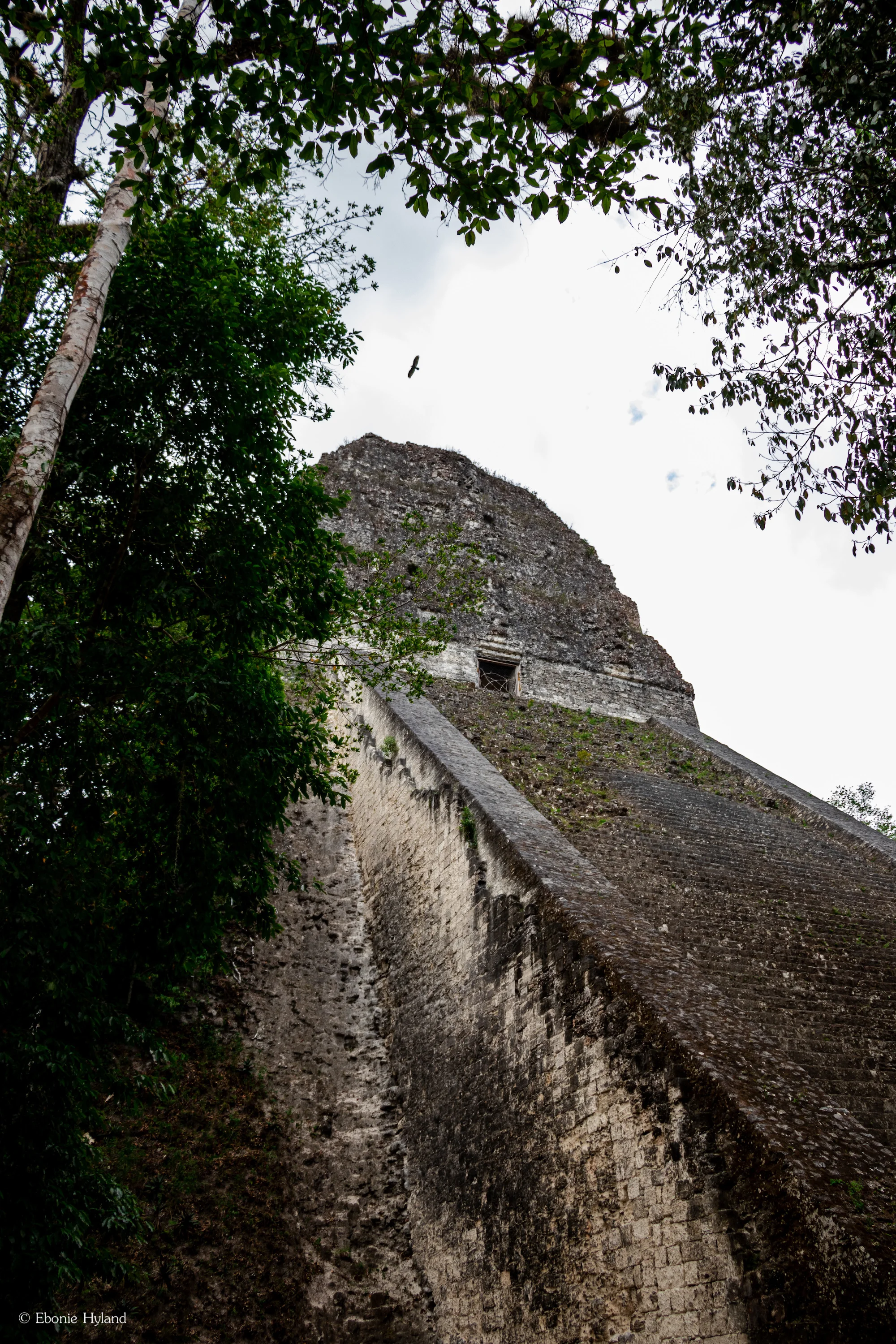 Tikal, Guatemala
